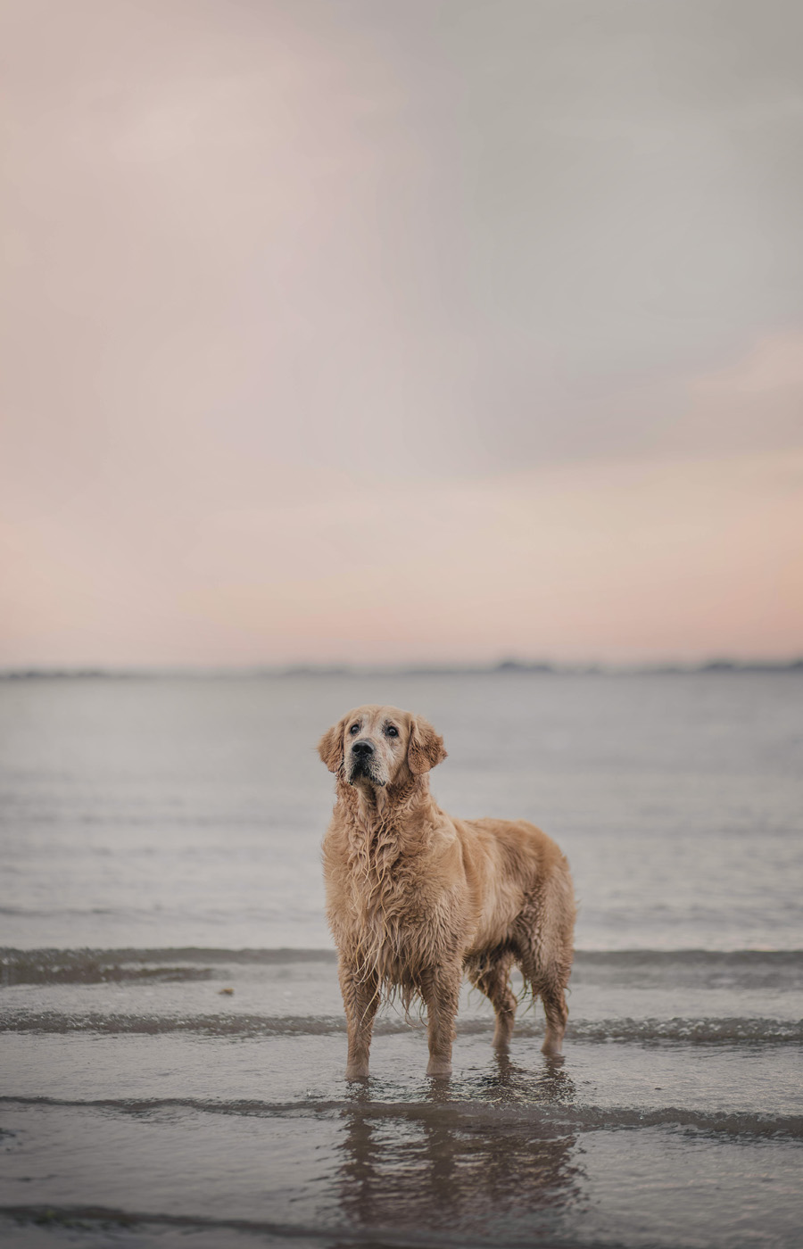 Manon Knasko Photographies